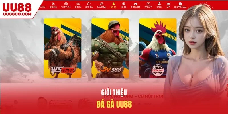 Giới thiệu đá gà UU88